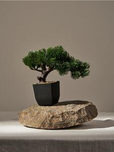 Sinsay - Bonsai fa cserépben - zöld