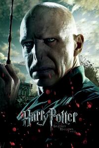 Művészi plakát Voldemort, (26.7 x 40 cm)