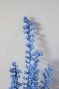 Kék habfű, bogyókkal 80cm