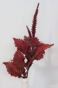 Bordó színű coleus, szárral 52cm