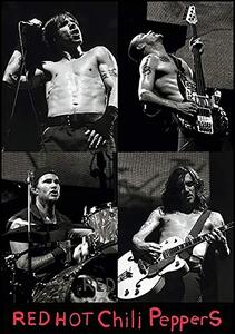 Plakát Red hot chili peppers Live, (61 x 91.5 cm)