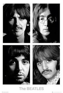 Plakát The Beatles - White album, (61 x 91.5 cm)