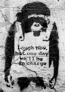 Plakát Banksy street art - chimp, (42 x 59 cm)