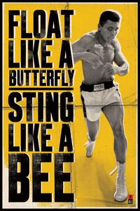 Plakát Muhammad Ali - float like a butterfly, (61 x 91.5 cm)