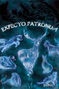 Plakát Harry Potter - Patronus, (61 x 91.5 cm)