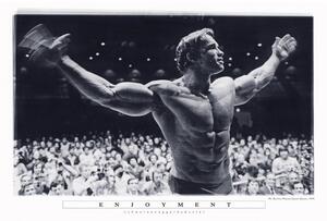 Plakát Arnold Schwarzenegger - Enjoyment, (91.5 x 61 cm)