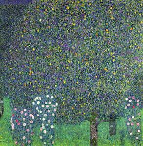 Reprodukció Roses under the Trees, c.1905, Gustav Klimt
