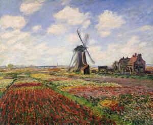 Claude Monet - Reprodukció Tulip Fields with the Rijnsburg Windmill, 1886, (40 x 35 cm)