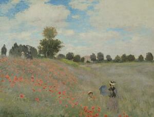 Reprodukció Wild Poppies, near Argenteuil , 1873, Claude Monet