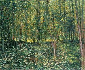 Vincent van Gogh - Festmény reprodukció Trees and Undergrowth, 1887, (40 x 35 cm)