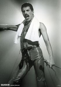 Plakát Queen (Freddie Mercury) - Live On Stage, (59.4 x 84 cm)