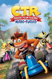 Plakát Crash Team Racing - Race, (61 x 91.5 cm)