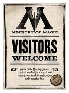 Fém tábla Harry Potter - Ministry Of Magic, (15 x 21 cm)