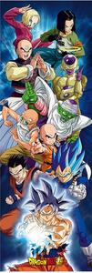 Plakát Dragon Ball Super - Group, (53 x 158 cm)