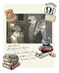 Művészi plakát Harry Potter - Hermione, Harry és Ron, (26.7 x 40 cm)
