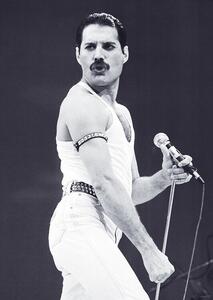 Plakát Freddie Mercury - Live Aid, (59.4 x 84.1 cm)
