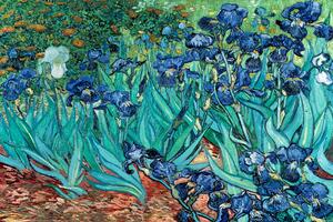 Plakát Vincent van Gogh - Les Irises, (91.5 x 61 cm)