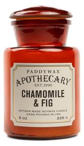 Paddywax illatgyertya szójaviaszból Chamomile and Fig