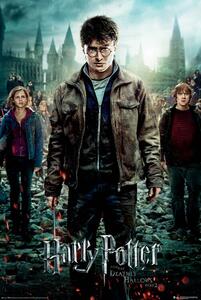 Plakát Harry Potter és a Halál ereklyéi, (61 x 91.5 cm)