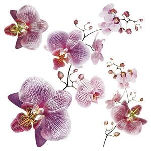 Orchids öntapadós dekoráció, 30 x 30 cm