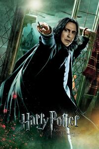 Művészi plakát Harry Potter - A Halál ereklyéi - Piton, (26.7 x 40 cm)