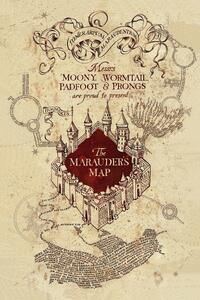 Művészi plakát Harry Potter - A tekergők térképe, (26.7 x 40 cm)