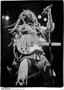 Plakát Bob Marley - Brighton, (59.4 x 84.1 cm)