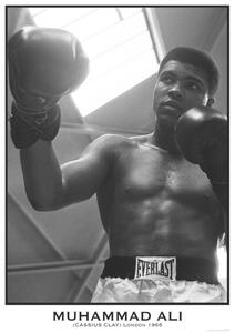 Plakát Muhammad Ali, (59.4 x 84.1 cm)