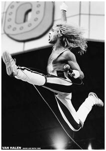 Plakát Van Halen - David Lee Roth 1980, (59.4 x 84.1 cm)