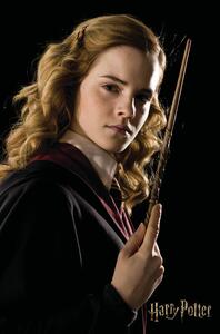 Művészi plakát Harry Potter - Hermione Granger portrait, (26.7 x 40 cm)