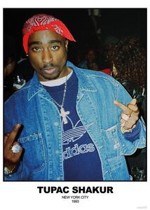 Plakát Tupac Shakur - N.Y.C 1993, (59.4 x 84.1 cm)