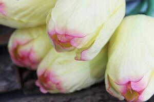 Sárga mű bimbózó tulipán levelekkel - 1 darab,65cm