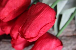 Piros mű bimbózó tulipán levelekkel - 1 darab,55cm