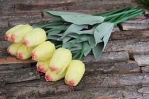 Sárga mű bimbózó tulipán levelekkel - 1 darab,65cm