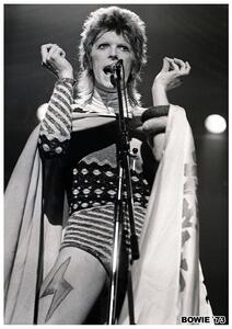 Plakát David Bowie - Ziggy Stardust 1973, (59.4 x 84.1 cm)