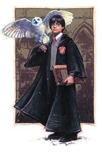 Művészi plakát Harry Potter with Hedvig - Art, (26.7 x 40 cm)