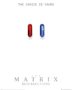 Plakát The Matrix: Resurrections - The Choice is Yours, (61 x 91.5 cm)