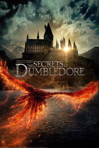 Plakát Fantastic Beasts - The Secrets of Dumbledore, (61 x 91.5 cm)