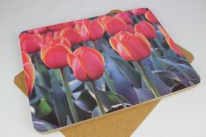 Piros tulipános tálcák 6db