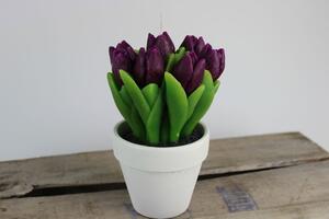 Lila cserepes tulipánok gyertya