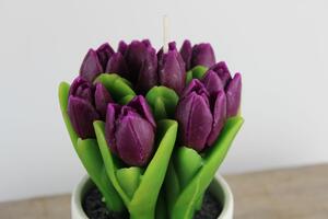Lila cserepes tulipánok gyertya