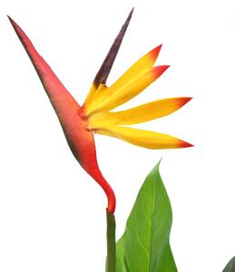 VidaXL műnövény 66 cm pompás papagájvirág