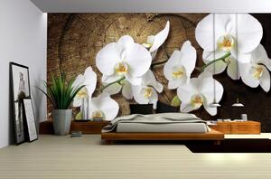 Poszter tapéta White orchid vlies 152,5 x 104 cm vlies 152,5 x 104 cm