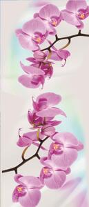 Poszter tapéta ajtóra Orchid 2 vlies 91 x 211 cm vlies 91 x 211 cm