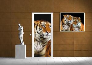 Poszter tapéta ajtóra Tigrisek vlies 91 x 211 cm vlies 91 x 211 cm