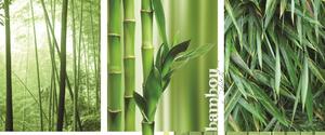 Poszter tapéta panoráma vlies Bambusz