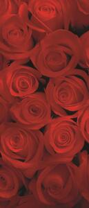 Poszter tapéta ajtóra Red roses vlies 91 x 211 cm vlies 91 x 211 cm