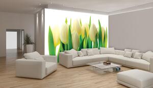 Poszter tapéta Fehér tulipánok vlies 152,5 x 104 cm vlies 152,5 x 104 cm