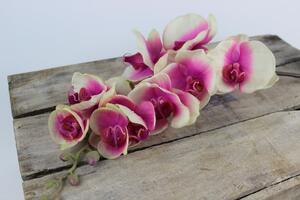 Rózsaszín mű orchidea szárral 80cm
