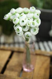 Fehér-zöld mű ázsiai boglárka csokor 30cm